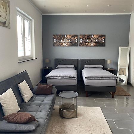 Ferienwohnung 1 Schweizer غايزينغن المظهر الخارجي الصورة